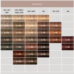 Schwarzkopf Igora Royal Absolutes Brown Hair Color Tube (60ml)