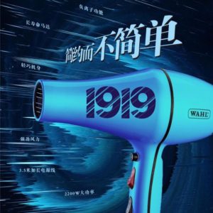 WAHL Pro 1919 Hair Dryer (2200W)