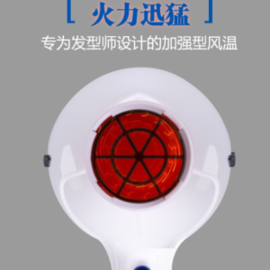 FirePhoenix Super Power Hair Dryer 3100H (2400W)