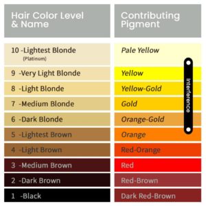 Iris Hair Colour Anti Yellow Toner (60ml)