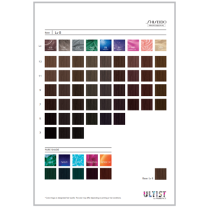 Shiseido Ultist Colour (80ml)