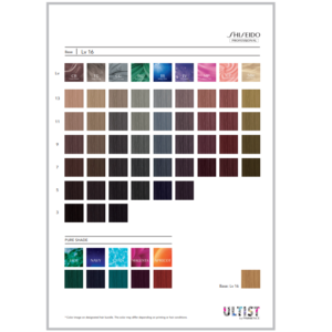 Shiseido Ultist Colour (80ml)