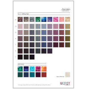 Shiseido Ultist Colour (80ml)