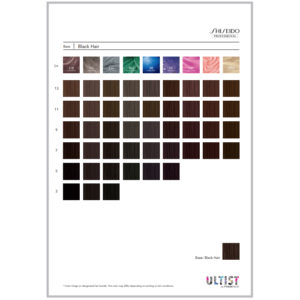 Shiseido Ultist Colour (80ml)