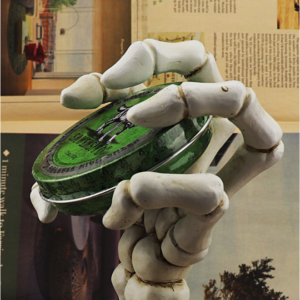 Sawensito Skeleton Hand Display