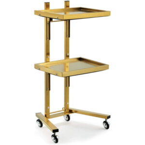 Foldable Stainless Steel Trolley