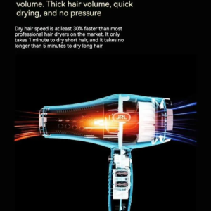 JRL Pro Forte 2020L Professional Salon Hair Dryer