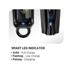 WAHL Pro 5-Star Black Magic Clip & 5-Star Black Detailer Li